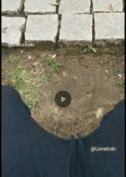 Cogemos en el piso 4